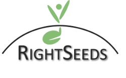 Logo RightSeeds frei 250px