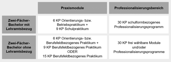 Überblick Praxismodule Professionalisierungsbereich