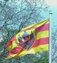 rotgelbe Stadtflagge Oldenburgs