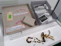 Inhalt der Vitrine. Die alten, ungeeigneten Kartons auf der linken Seite und die neuen Kartons mit dem archivechten Inventarisierungsmaterial auf der rechten Seite. Unterhalb der Kartons liegen die Haarspangen.