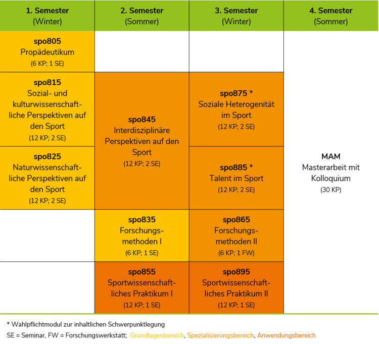 Studienaufbau des Fach-Masterstudiengangs "Sportwissenschaft"