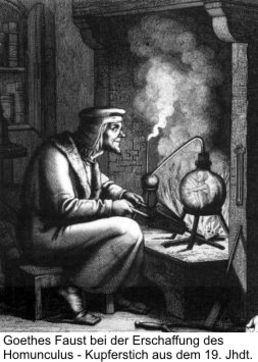 Homunculus