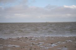 Back Barrier Region of Spiekeroog