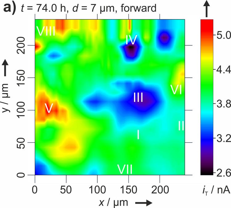 SECM image, pannel a)
