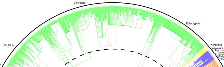 Systematik und Evolutionsbiologie