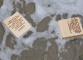 Holzdrifter im Meer