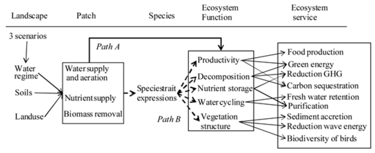 flow_chart