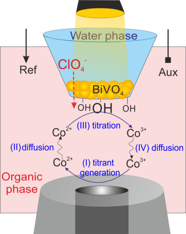 Scheme ofthge setup with microcapillary and microelectrode