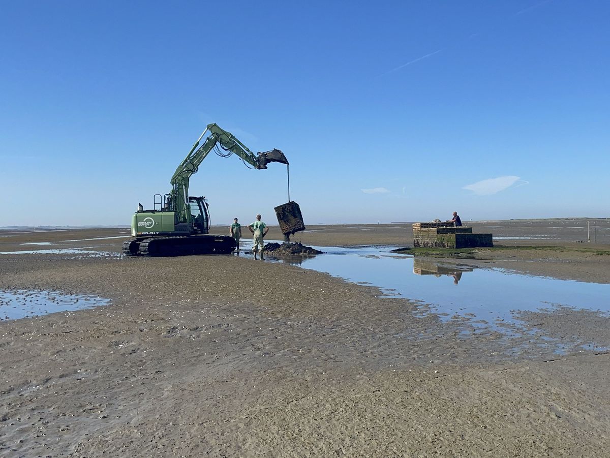 Excavator carries part of the artificial island