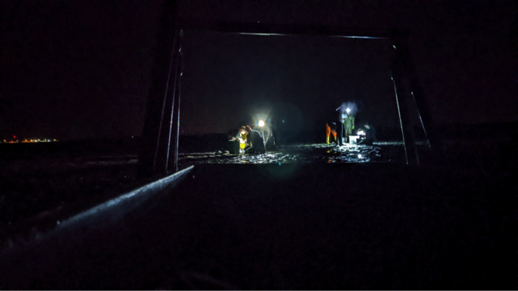Night sampling in the Wadden Sea, south of Spiekeroog