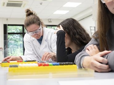 Workshop "Gele für das Zelldrucken"
