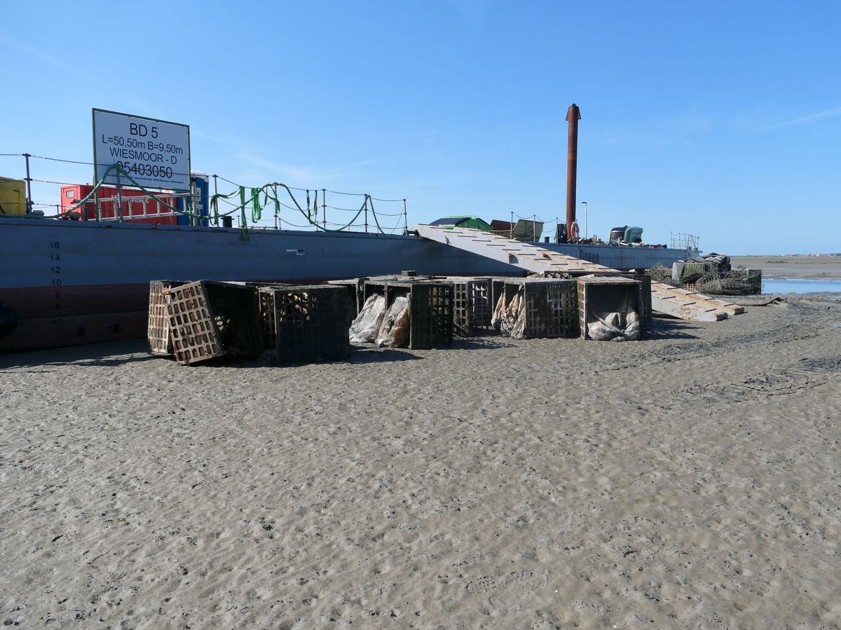 Ship with the removed islands