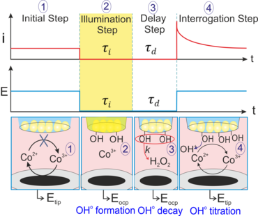 Scheme of the procedure for the surface interrogation mode
