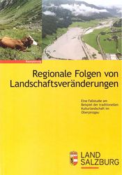 Deckblatt Buch Sabine Wuestemann Salzburg 2017 final