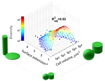 Taxonomic diversity of unicellular phytoplankton as a function of cell size and elongation.