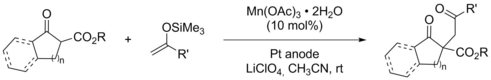2019-02