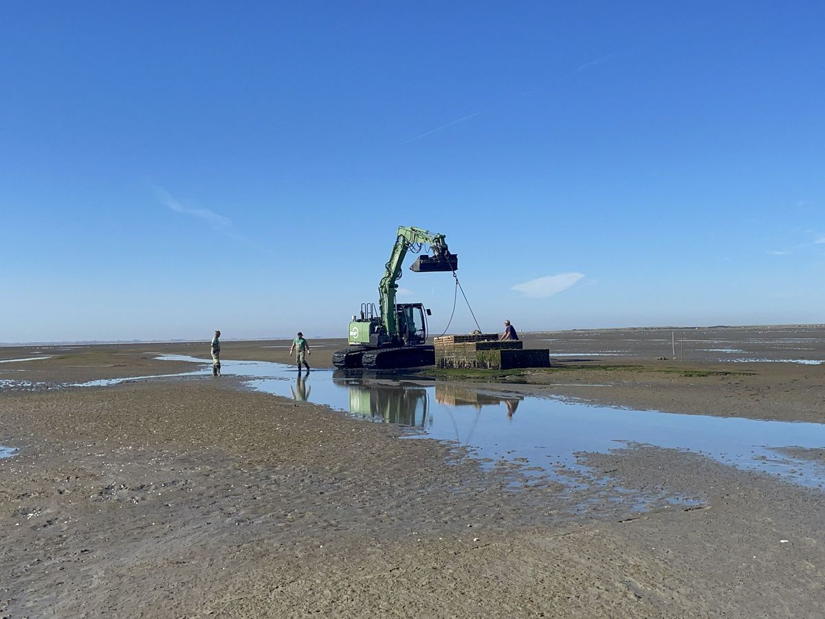 Excavator
