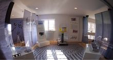 Ausstellungen