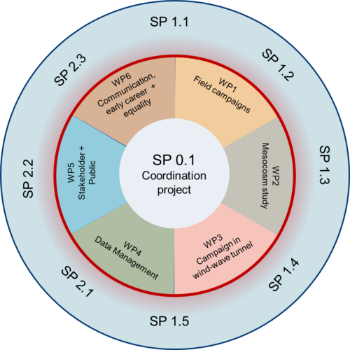Figure: Structure of coordination project with six work packages (WPs) supporting the eight sub-projects (SPs).