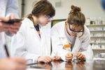 Schüler*innenwettbewerb "Chemie in Aktion, Teilnehmende
