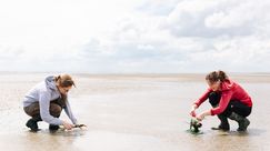 Sampling in the Wadden Sea
