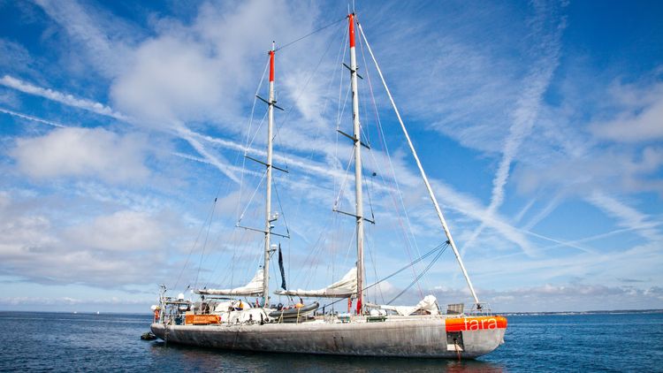 Forschungsschoner TARA [Foto: Yohann Cordelle, CC BY 3.0]