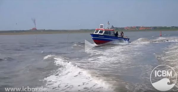 Video Master Marine Umweltwissenschaften
