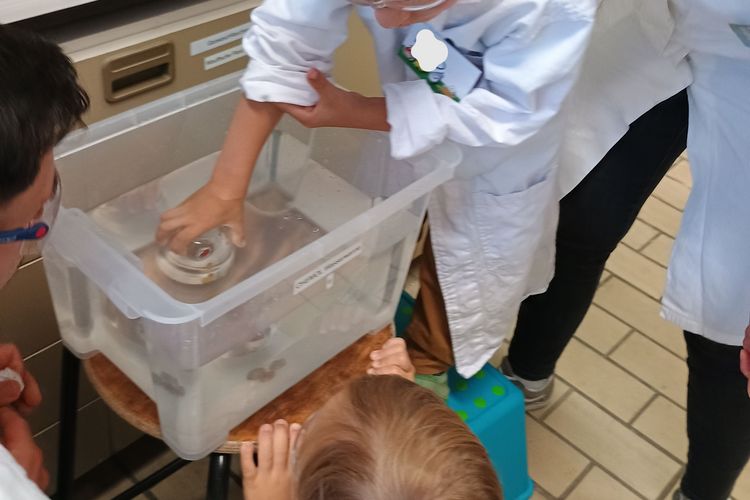 Kindergartenkinder experimentieren in den Laboren des Instituts für Chemie.  Kindergartenkinder experimentieren in den Laboren des Instituts für Chemie.