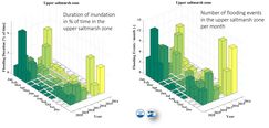 Flooding duration and events in the upper salt marsh zone