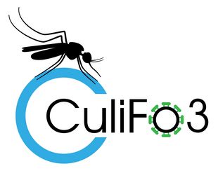 CuliFo3 Logo Outline