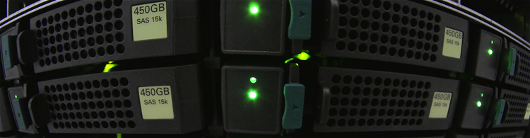 Forschungsdatenmanagement am ICBM