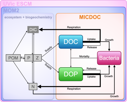 MICDOC