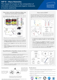 This poster wraps up Mara's key findings