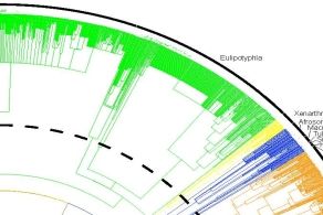 evolutionäre Morphologie, Mikroskopie (Licht und Elektron), molekulare Phylogenetik, DNA Sequenzierung, Bioinformatik, Rädertiere, Verhaltensbiologie, Zoo Osnabrück