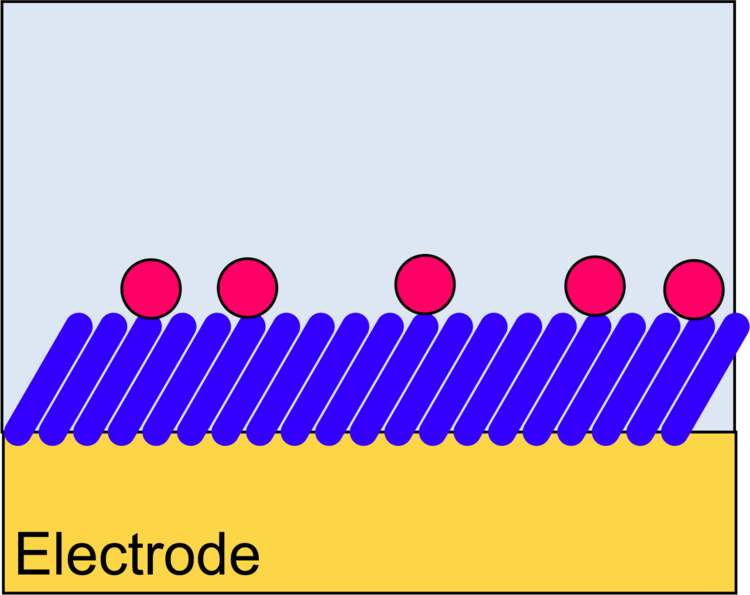 Scheme coupling to a self-assembled monolayer