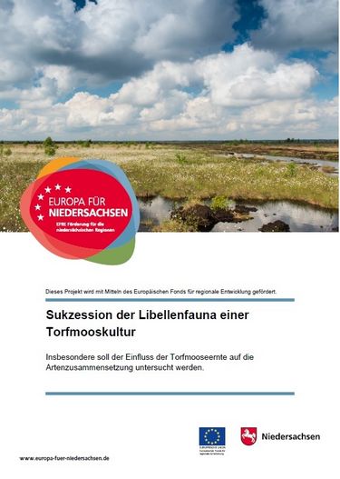 Plakat Moosweit Internet