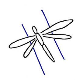 Libellen-Logo