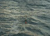 EddyOne im Meer