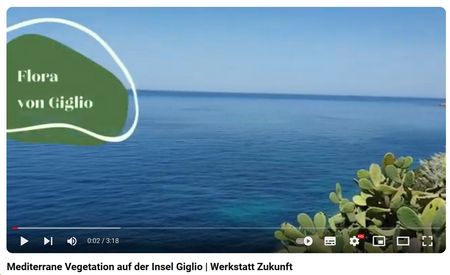 Kurzvideo über die Flora Giglios