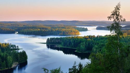 Natural clean-up: Some bacteria living in lakes are able to break down plastic compounds. Photo: Adobe Stock/Alex Stemmers