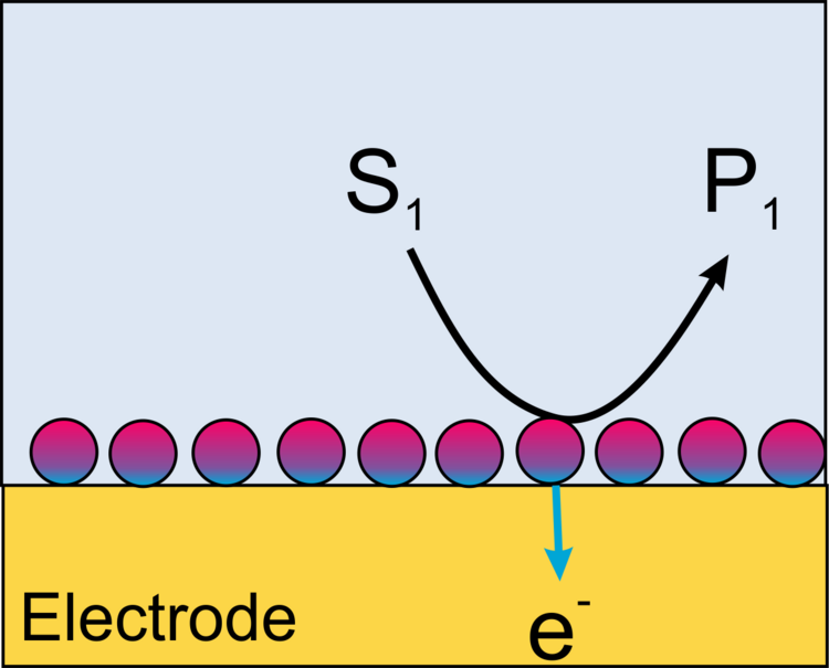 Scheme cross section of electrode with direkt electron transfer