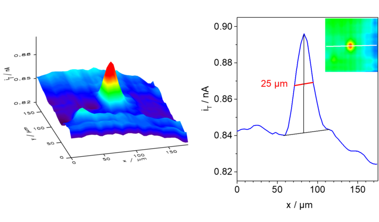 Example data for local measurement of glucose oxidase activity in the feedback mode