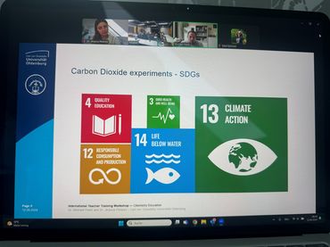 SDGs
