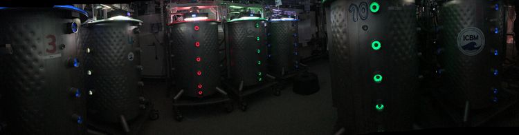 Planktotrons