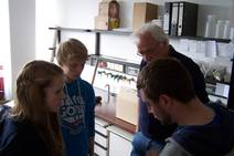 Bild