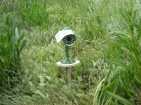 Kamera im Einsatz