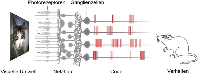code de