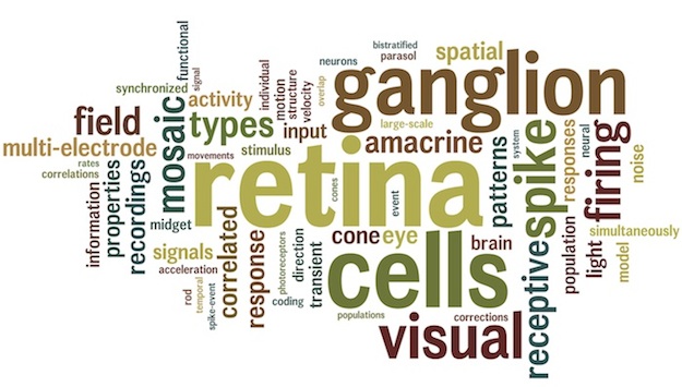 wordle
