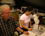 Dekor: Scientists observe an experiment