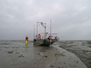 Bild: Bohrboot